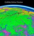 This CLASlite image of the Amazon Basin shows deforested regions in pink and blue and intact forests in green.