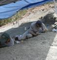 Randall Irmis (left), of the Utah Museum of Natural History at the University of Utah, and Sterling Nesbitt (right) excavate at the Hayden Quarry, Ghost Ranch, New Mexico.