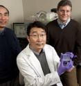 Pictured are Leslie Tung, left, and Andre Levchenko, right, both of the Johns Hopkins Department of Biomedical Engineering, with Deok-Ho Kim, a doctoral student in Levchenko's lab who holds a nanopatterned chip able to cue heart cells to behave like natural heart tissue.