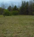 This is the Michigan dry sand prairie.