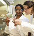 Emily Alff, right, an undergraduate researcher, and postdoctoral researcher Amutha Sampath Kumar examine <i>Phragmites</i> plants in the laboratory at the Delaware Biotechnology Institute at the University of Delaware.