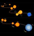 This illustration demonstrates the two ways that blue stragglers -- or "rejuvenated" stars -- in globular clusters form. The upper illustration shows the collision model where two low-mass stars in an overcrowded environment experience a head-on collision, combining their fuel and mass and to form a single hot star. The lower illustration depicts the "vampire" model consisting of a pair of stars that undergo a transformation, with the lower-mass star draining its larger-mass companion of hydrogen that fuels its rebirth.