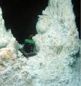 An experimental chamber is used to study how microorganisms at the Lost City hydrothermal vents interact with rock that underlies the field. The actively venting carbonate chimneys host dense communities of microorganisms. The red dots below the chamber, spaced  four inches (10 centimeters) apart, are created by lasers on a submersible near the vents.