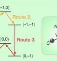 Driving a qubit along a longer quantum path (routes 2 and 3) dramatically improves the signal quality over that achieved by following the shorter path (route 1). The research applies to information stored in qubits that consisted of Nitrogen-based defects in diamond, as schematically shown on the right.