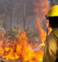 A new, low-cost bushfire detection and monitoring system is being developed by University of Adelaide researchers.