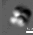 This is a picture from the optical microscope of two clusters at N=6 particles. The one on the right is an octahedron. Note: The particles are polystyrene spheres, 1 micrometer in diameter.