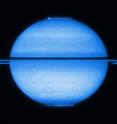 An enormous and grand ringed planet, Saturn is certainly one of the most intriguing bodies orbiting the sun. This unique Hubble image from early 2009 features Saturn with the rings edge on and both poles in view, offering a stunning double view of its fluttering aurorae. Created by the interaction of the solar wind with the planet's magnetic field, Saturn's aurorae are analogous to the more familiar northern and southern light on Earth. At the time when Hubble snapped this picture, Saturn was approaching its equinox so both poles were equally illuminated by the sun's rays. At first glance the light show of Saturn's aurorae appears symmetric at the two poles. However, analyzing the new data in greater detail, astronomers have discovered some subtle differences between the northern and southern aurorae, which reveal important information about Saturn's magnetic field. The northern auroral oval is slightly smaller and more intense than the southern one, implying that Saturn's magnetic field is not equally distributed across the planet; it is slightly uneven and stronger in the north than the south.