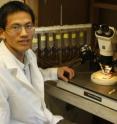 Researcher Guirong Wang sitting at the workstation where he tested the response of mosquito odorant receptors insert into frog eggs to a panel of 110 different odorants.