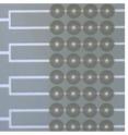 This is an example of multiple zone-plates placed over individual microfluidic channels.