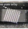 This is a microscope image of the microfluidic and optical device, consisting of a flow-focus drop maker, six layers of drop splitters, followed by 64 parallel microfluidic channels, and a zone-plate array which is aligned to the microfluidic channel array at a tilt angle.