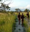 This image shows a group of hunters from the Ju/’hoansi tribe in the Namibian Bush.  The indigenous hunter-gatherers of southern Africa, often referred to as Bushmen, represent the oldest known lineage of modern man.  By sequencing the genomes of four Bushmen and one Bantu representative from Southern Africa, researchers led by Stephan Schuster at Penn State University in the United States and Vanessa Hayes at the University of New South Wales in Australia show that Bushmen have more genetic differences between each other than for example, do a European and Asian.  The inclusion in current databases of the Bushman and Bantu genomes sequenced by Stephan Schuster et al. will ensure the inclusion of Southern Africans in medical-research efforts.