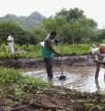 Part of the immersion course included restoration projects.