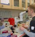 John P. Ray, a research scientist at the University of Washington, looks at zebrafish under a microscope in a lab that studies genetic resistance to disease.