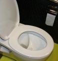 'NoMix' toilets, like the one shown here, collect urine and feces separately. They have gained wide support by consumers in Europe as a way to reduce pollution and conserve water.