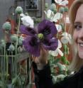 This is researcher Jillian Hagel with opium poppy research plants at the University of Calgary.