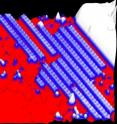 This image shows several nanoscale superconducting 
molecular wires on a silver substrate.