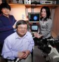 Researchers from Georgia Tech and Emory University have used two different techniques to mechanically study the kinetics of T cell receptors. Shown are (foreground) professor Cheng Zhu and (l-r, standing) postdoctoral scholar Baoyu Liu and research scientist Veronika Zarnitsyna.