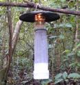 This light trap on Panama's Barro Colorado Island lures sand flys that carry leishmaniasis, as well as other insects.