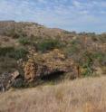 This is a view of the uitkomst cave, a well-known archaeological site close to the <i>sediba</i> site. It illustrates the broken, diverse nature of the landscape.