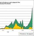 In Washington, the number of acres of lodgepole pines and ponderosa pines lost to beetle infestations has increased many fold.