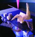 These structures were folded from flat sheets of direct-printed titanium hydride ink, a new technique pioneered by University of Illinois researchers.