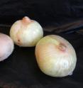 Onions are a natural alternative to artificial preservatives.