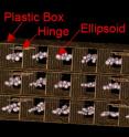 NIST's pill-sized ellipsoids, which mimic the density of tumors, show up clearly in this CT scan. The tumor mimics allow scientists to determine how well different measurement protocols reveal changes in tumor size.