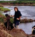 Professor Alan Cooper is pictured here with a mammoth bone.