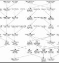 This is the pedigree of the Darwin/Wedgwood dynasty represented as chains of descent.