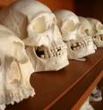 Identifying skeletal remains can be a key step in solving crimes, but traditionally it has been exceptionally difficult to identify the skeletal remains of children.