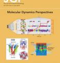 The June cover of the<I> Journal of General Physiology</I> includes a composite of figures from the Perspectives on molecular dynamics and computational methods.  (Top) All-atom simulation of single-channel currents through Kv1.2  (Dror et al.).  (Bottom left)  Two symmetric modes of the prokaryotic potassium channel KcsA (Behar).  (Lower right) Energy landscape calculated in simulation of state transitions of KCNQ1 (Silva and Rudy).