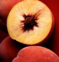 Breast cancer cells -- even the most aggressive type -- died after treatments with peach and plum extracts in lab tests at Texas AgriLife Research.