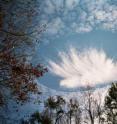 Hole-punch clouds have long fascinated the public.