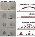 Researchers at Rensselaer Polytechnic Institute have developed a new, ultra-simple method for making layers of gold that measure only billionths of a meter thick. As seen in the research image, drops of gold-infused toluene applied to a surface evaporate within a few minutes and leave behind a uniform layer of nanoscale gold. The process requires no sophisticated equipment, works on nearly any surface, takes only 10 minutes, and could have important implications for nanoelectronics and semiconductor manufacturing.