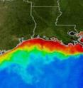 The red and yellow areas show the approximate boundaries of a Gulf of Mexico dead zone from several years ago.