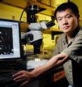 Georgia Tech School of Biology assistant professor Lin Jiang displays a microscopic image of a protist species used in this study, which showed that competition could be a factor in regulating ecological communities regardless of the intensity or frequency of disturbance.