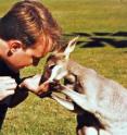 Research by Derek Taylor has shown that modern marsupials harbor a "fossil" copy of a gene that codes for filoviruses, which cause Ebola and Marburg hemorrhagic fevers and are the most lethal viruses known to humans.