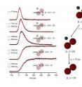 This is a step-by-step dissociation of Ne2Br2.