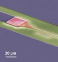 This is an electron microscopical picture of the superconducting circuit (red: Aluminum-Qubit, grey: Niob-Resonator, green: Silicon substrate).