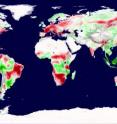 A snapshot of Earth's plant productivity in 2003 shows regions of increased productivity (green) and decreased productivity (red). Tracking productivity between 2000 and 2009, researchers found a global net decrease due to regional drought.