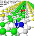 Electron spins (arrows) on silicon atoms at the  
step edges of the Si(553)-Au surface.