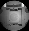 This is the NIST MEMS-based rheometer. The moving plate is controlled by resistance heating elements in the chevron-like structure at the top; expansion and contraction of the vanes causes the plate to move up and down. Central square where the sample would rest is approximately 500 micrometers across.