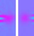 These colorized plots of electric field values indicate how closely the NIST "quantum cats" (left) compare with theoretical predictions for a cat state (right). The purple spots and alternating blue contrast regions in the center of the images indicate the light is in the appropriate quantum state.