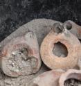 Clay oil lamps were exposed during the 11th season of excavation at the Sussita site, on the east shore of the Sea of Galilee, which was conducted by researchers of the University of Haifa.