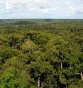 This is a view of the Amazon rainforest, often called the "green ocean," from the top of the research tower.