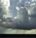 Lead author Scot Martin and his colleagues expect their ability to isolate relatively “pure” aerosol particles will help elucidate natural aerosol-cloud interactions in the Amazon Basin. Pictured is a typical cumulus cloud; sheets of rain can be seen underneath.