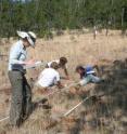 Contrary to expectations, climate change has had a significant effect on mountain plants at low elevations, says a new study led by a UC
Davis researcher. In the photo, Ellen Damschen of the University of Wisconsin-Madison (left) makes notes as the research team surveys mountain plants.