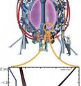 This is a "snowflake" divertor -- a novel plasma-material interface is realized in the National Spherical Torus Experiment.