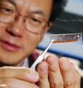 Professor Zhong Lin Wang holds an earlier version of the nanogenerators developed using zinc oxide nanowires.