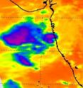 The Atmospheric Infrared Sounder (AIRS) instrument onboard NASA's Aqua satellite captured this infrared image of Cyclone Jal's remnants on Nov. 9 at 1:30 p.m. local time/India that showed the strongest convection (purple) and thunderstorms are now occurring to the west of the center of circulation over the open waters of the Arabian Sea.